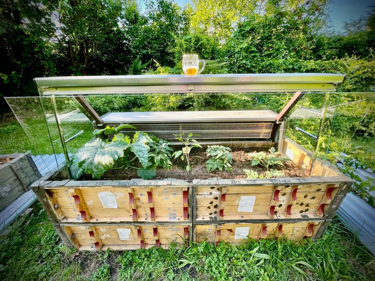 Haraburdi Recyclart Hotel Kostelec nad Orlici Ngoại thất bức ảnh